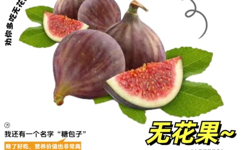 月季花根的神奇功效-月季花根药用网月季花根的功效与作用及食用方法知识网站,分享月季花根的神奇功效大全